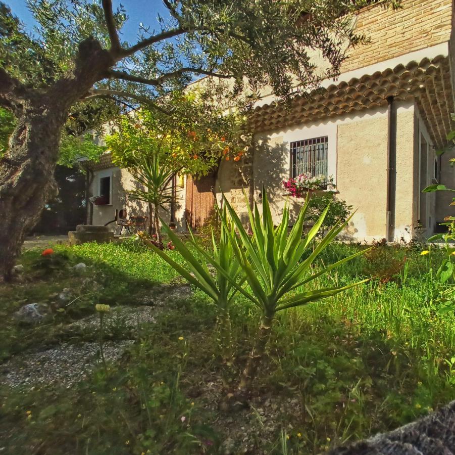 B&B La Masseria Del '700 Castiglione a Casauria 外观 照片